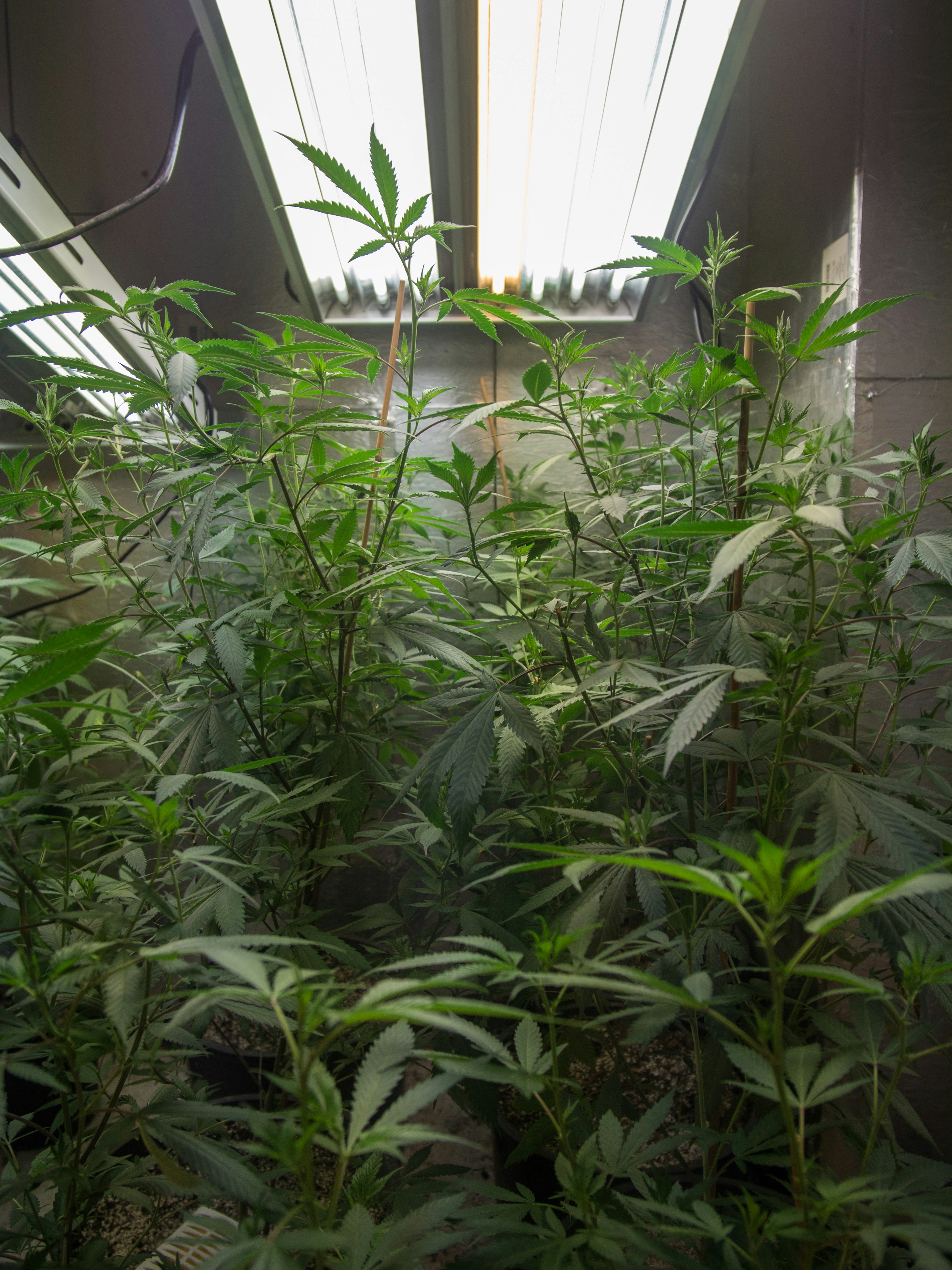 Photo by giobartlett