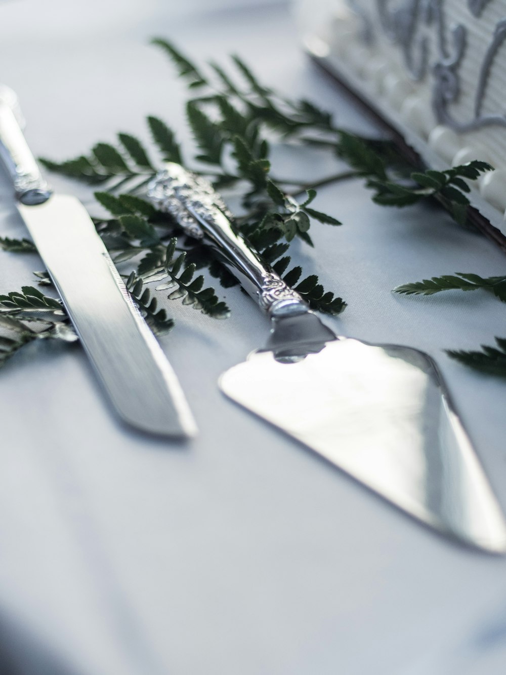 silver bread knife on green leaves