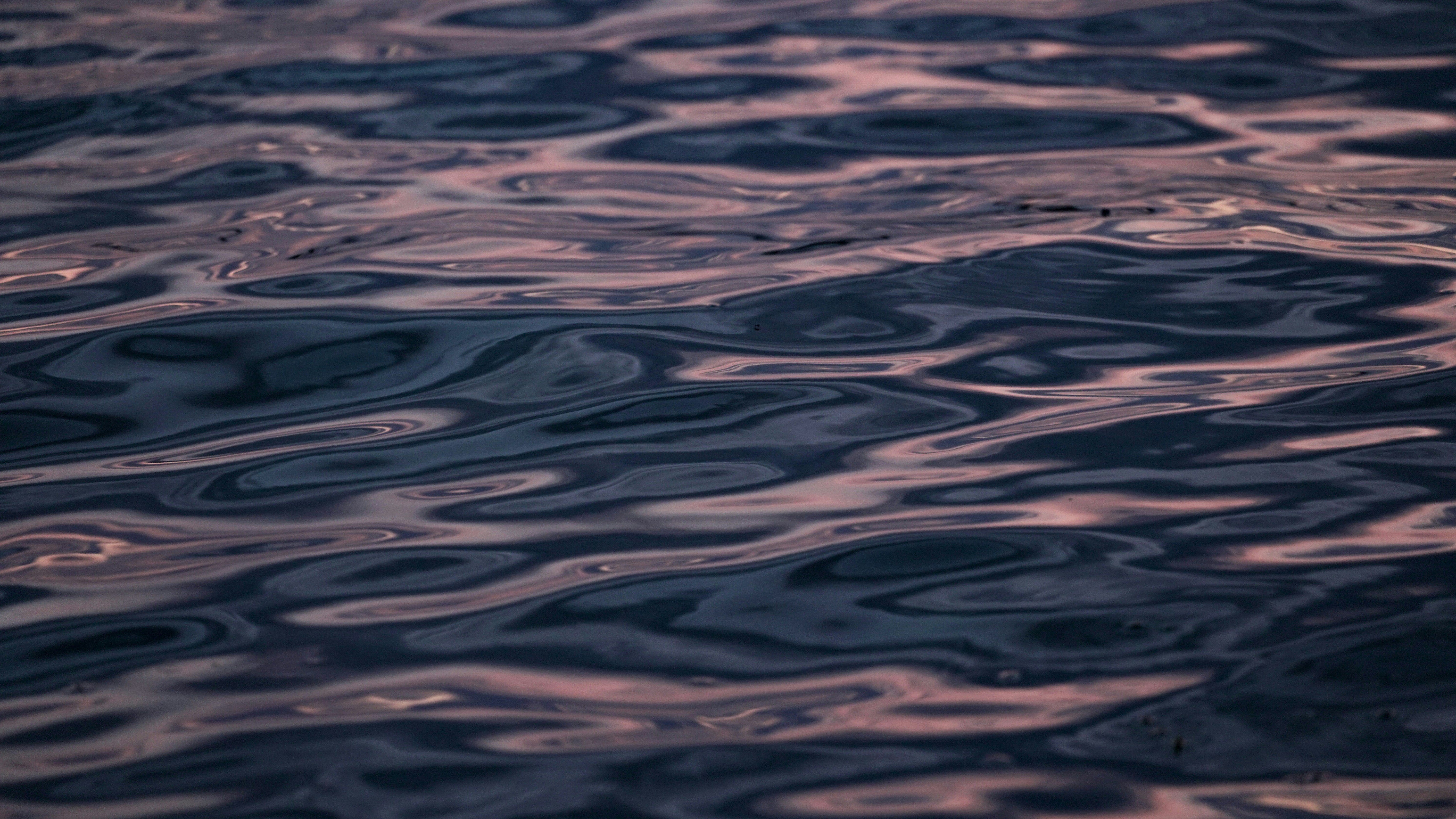 Photo by eternalseconds