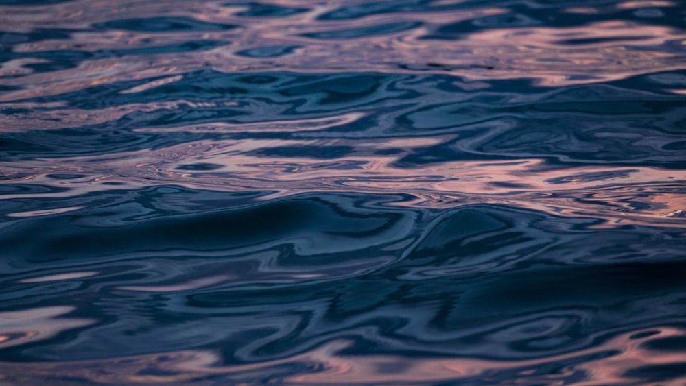 close up photo of water