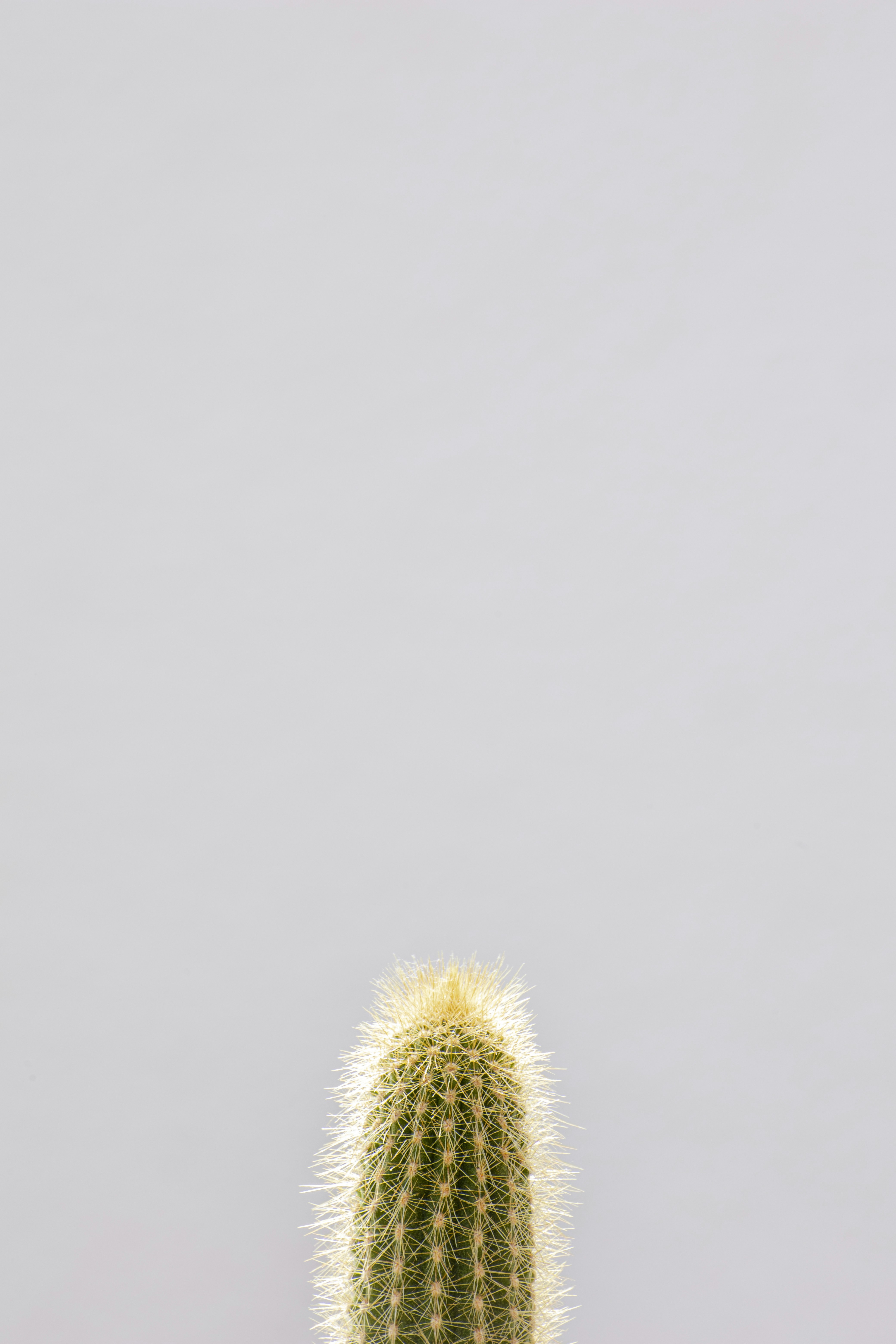 Photo by isaacquesada