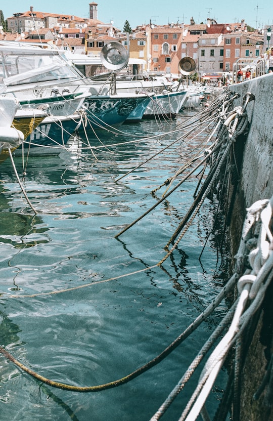 white and blue boat on water during daytime in Rovinj Croatia