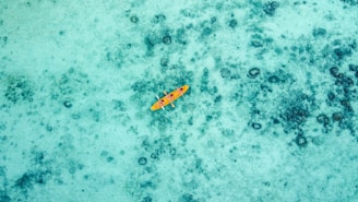 aerial view of yellow and white boat on body of water during daytime