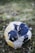 white and blue soccer ball on green grass field