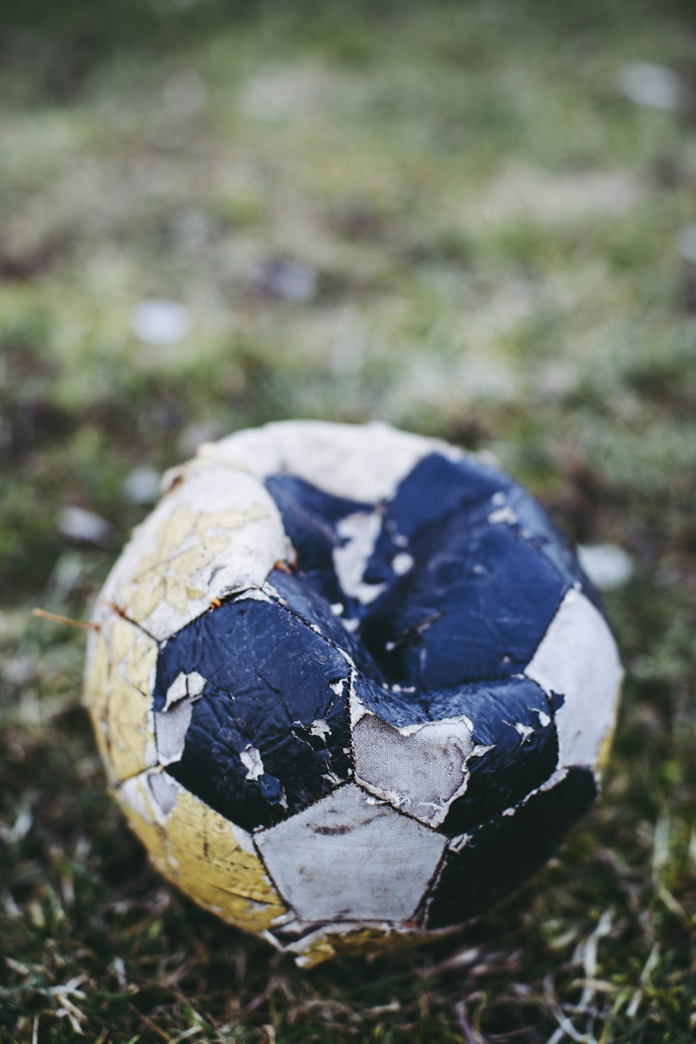 푸른 잔디 필드에 흰색과 파란색 축구 공