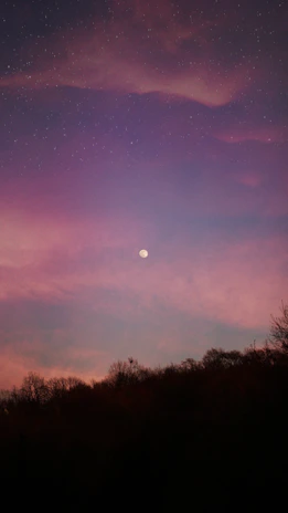 A serene cosmic night sky blending deep purples and golds with subtle stars and a glowing moon.
