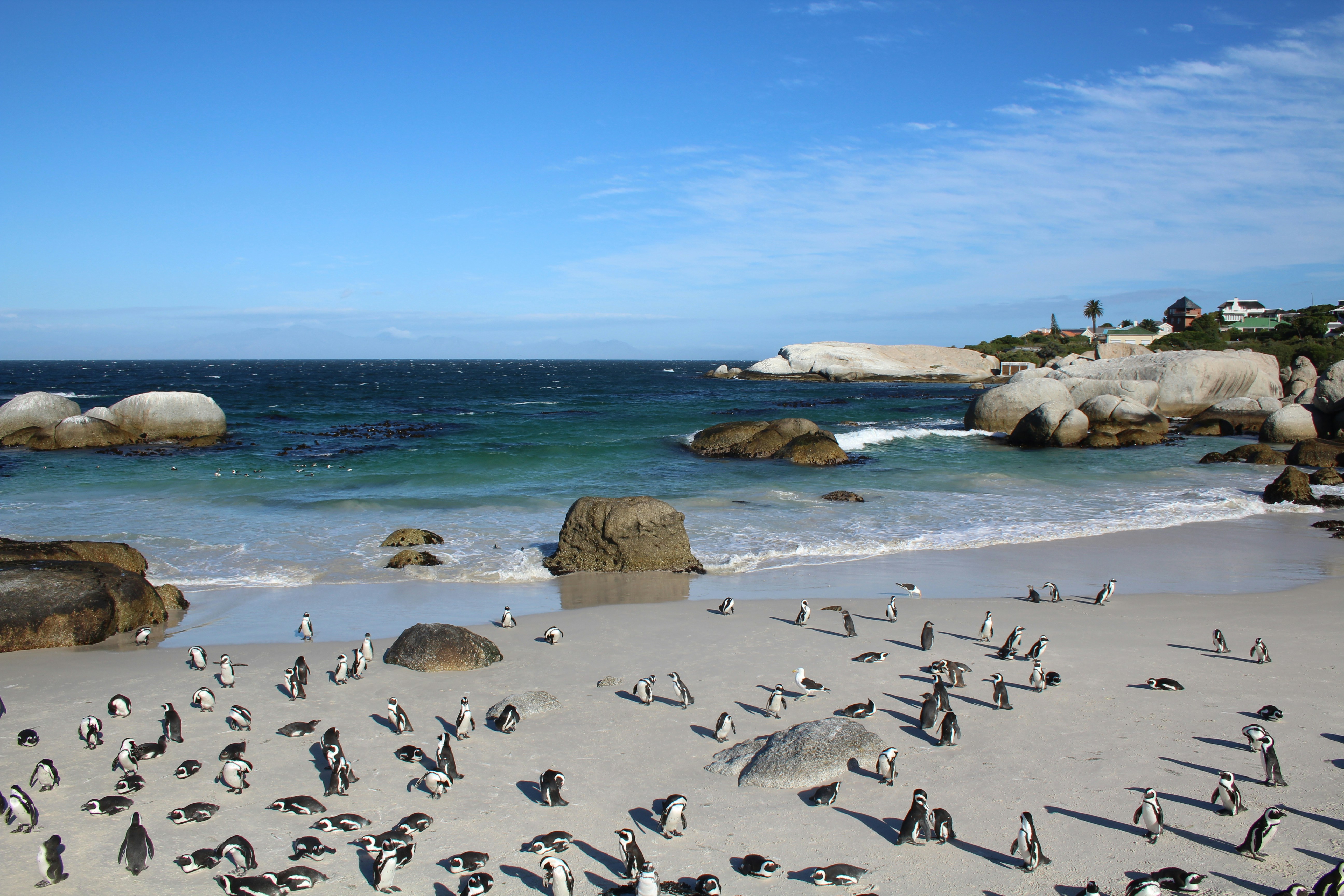 Photo by storiesbysoph