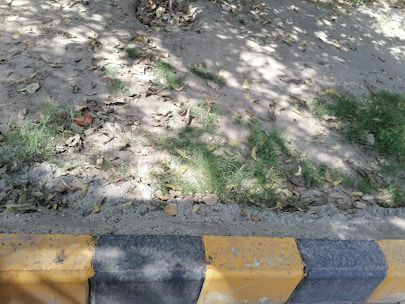 A section of a sidewalk with a curb painted in alternating yellow and black stripes. The adjacent area is a patch of bare ground with sparse green grass and scattered dry leaves. Soft shadows of tree branches are cast over the ground, suggesting sunlight filtering through the foliage above.