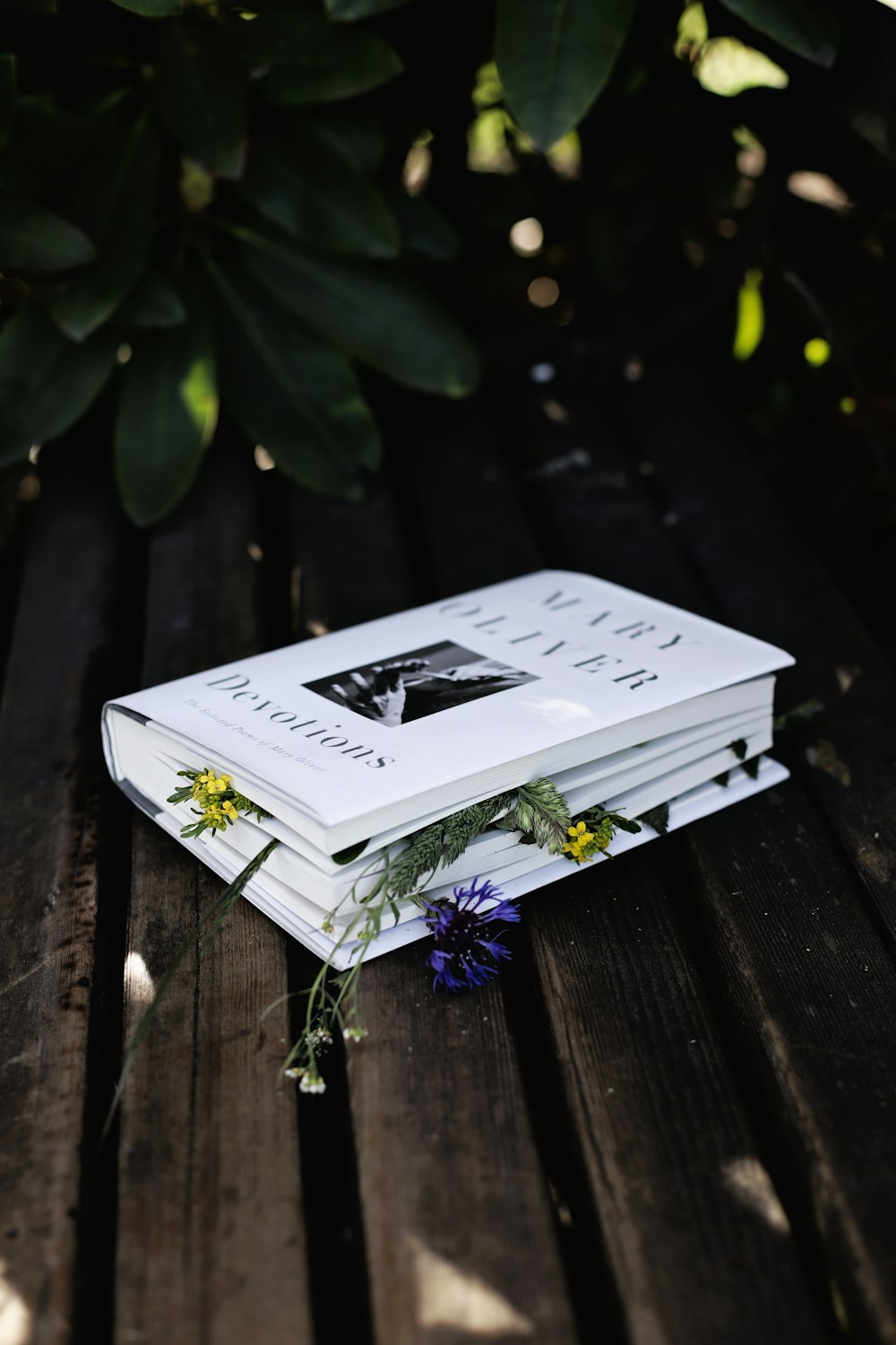 white and purple flower on white box