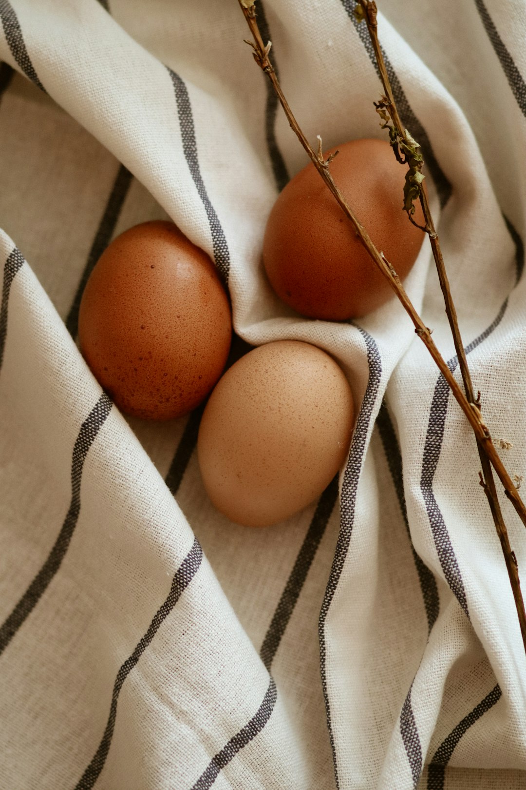 brown egg on white and black textile