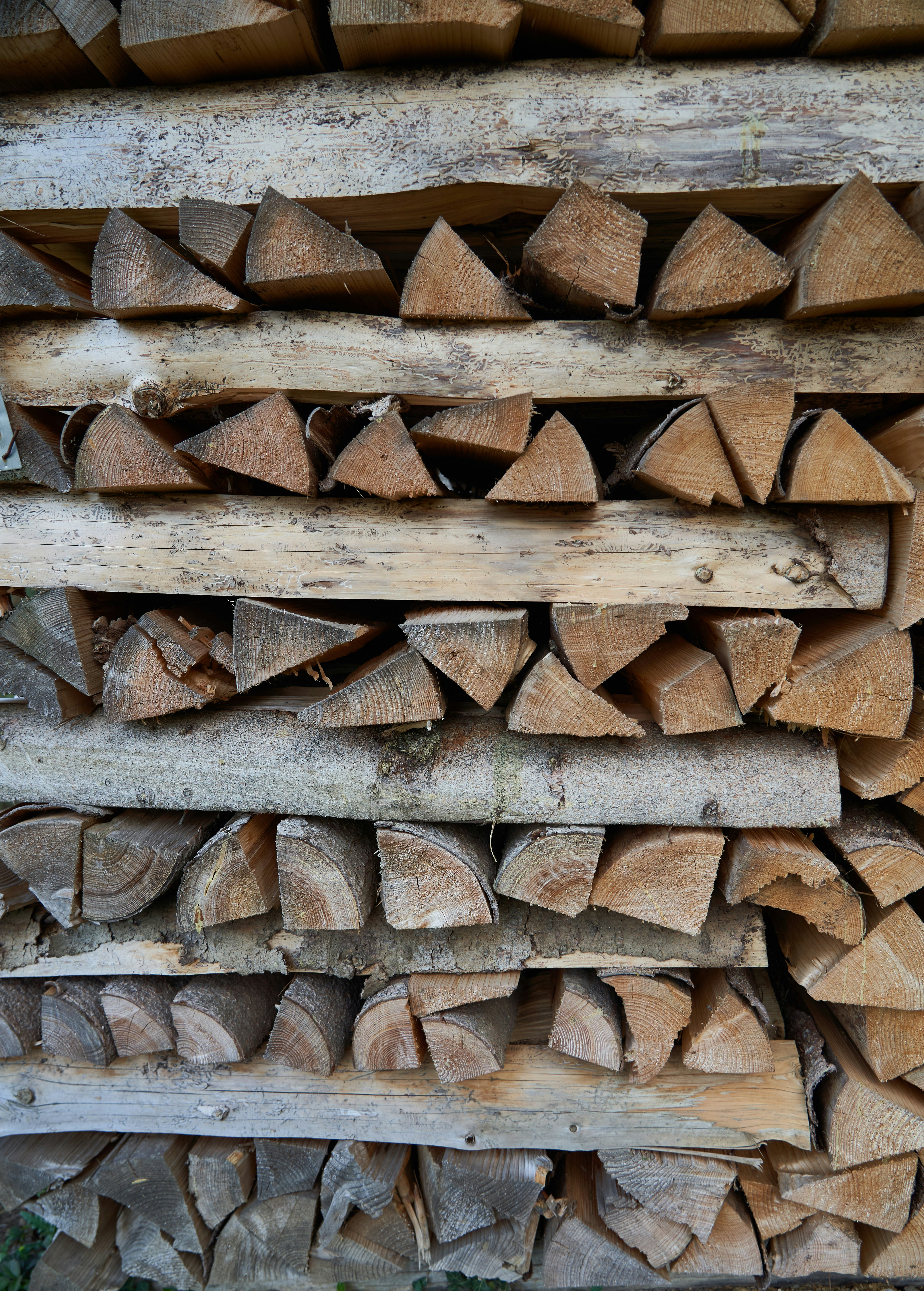 Photo by wolfgang_hasselmann