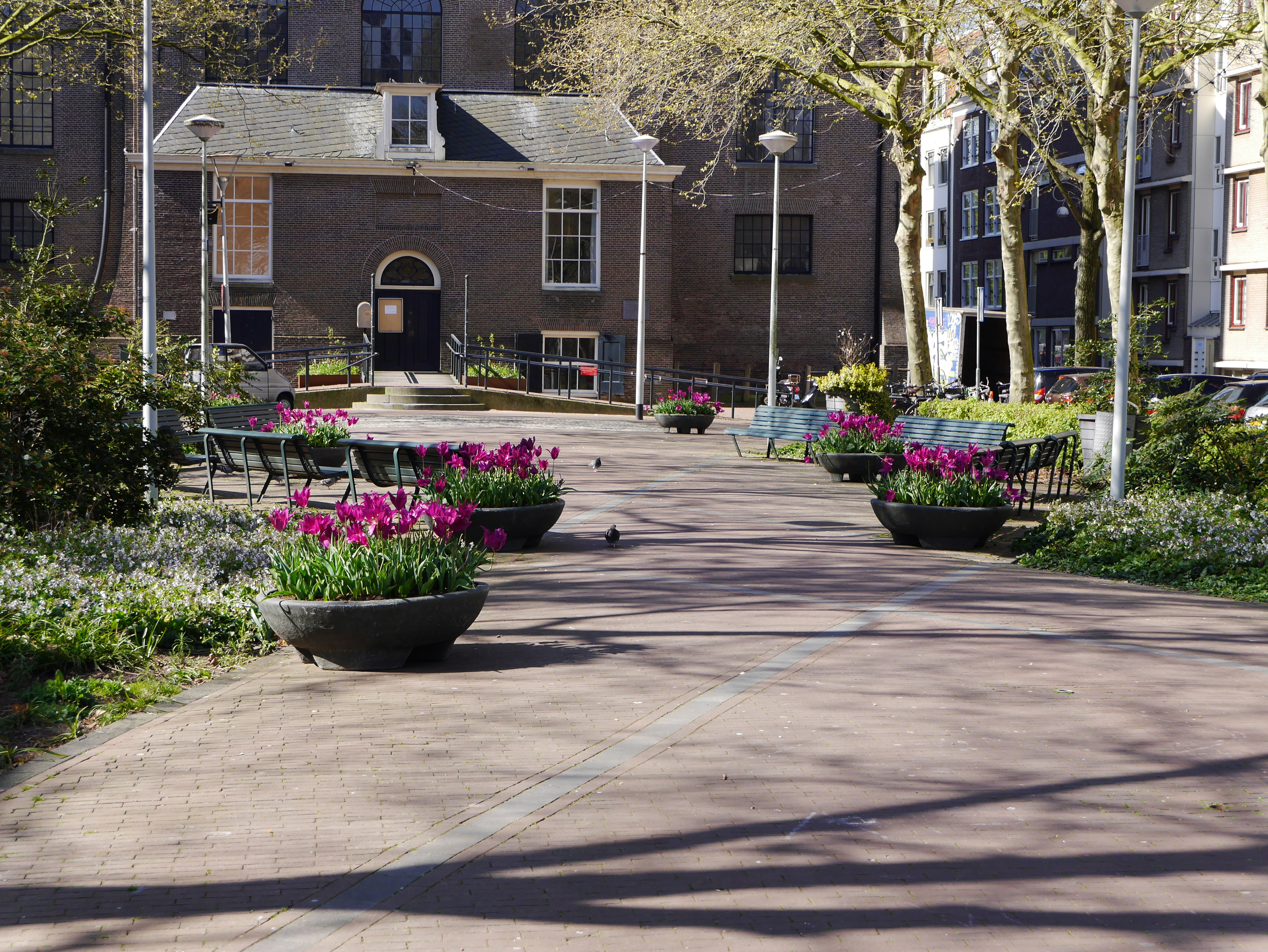 Free photo of the back entry of an old brick-built church-building, the Oosterkerk. It is old architecture, 17th century in Amsterdam city and also one of the first churches in a typical protestant style. In the foreground a sqaure between the residential blocks of Wittenburg, with shadows of trees and sunlight on the brick ground; picture of 15 April 2020; urban photography of The Netherlands. In Dutch: gratis foto van de achter-ingang van de Oosterkerk, 17e eeuwse architectuur. Gezien vanuit het binnenplein van Wittenburg. De foto nam ik 15 April 2020 - stadsfotografie, Fons Heijnsbroek
