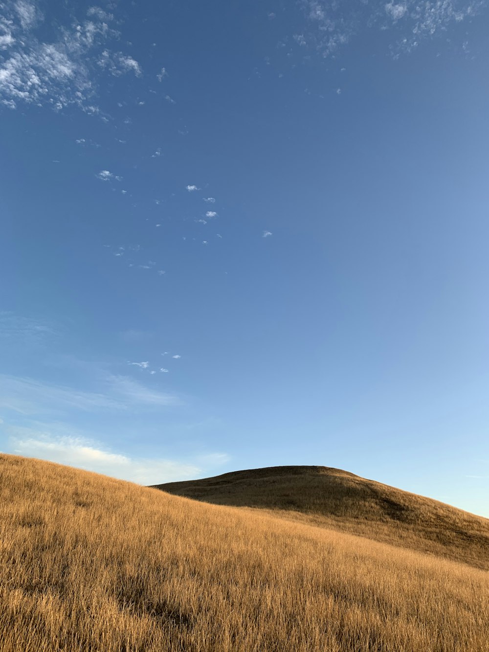 brown grass field under blue sky during daytime