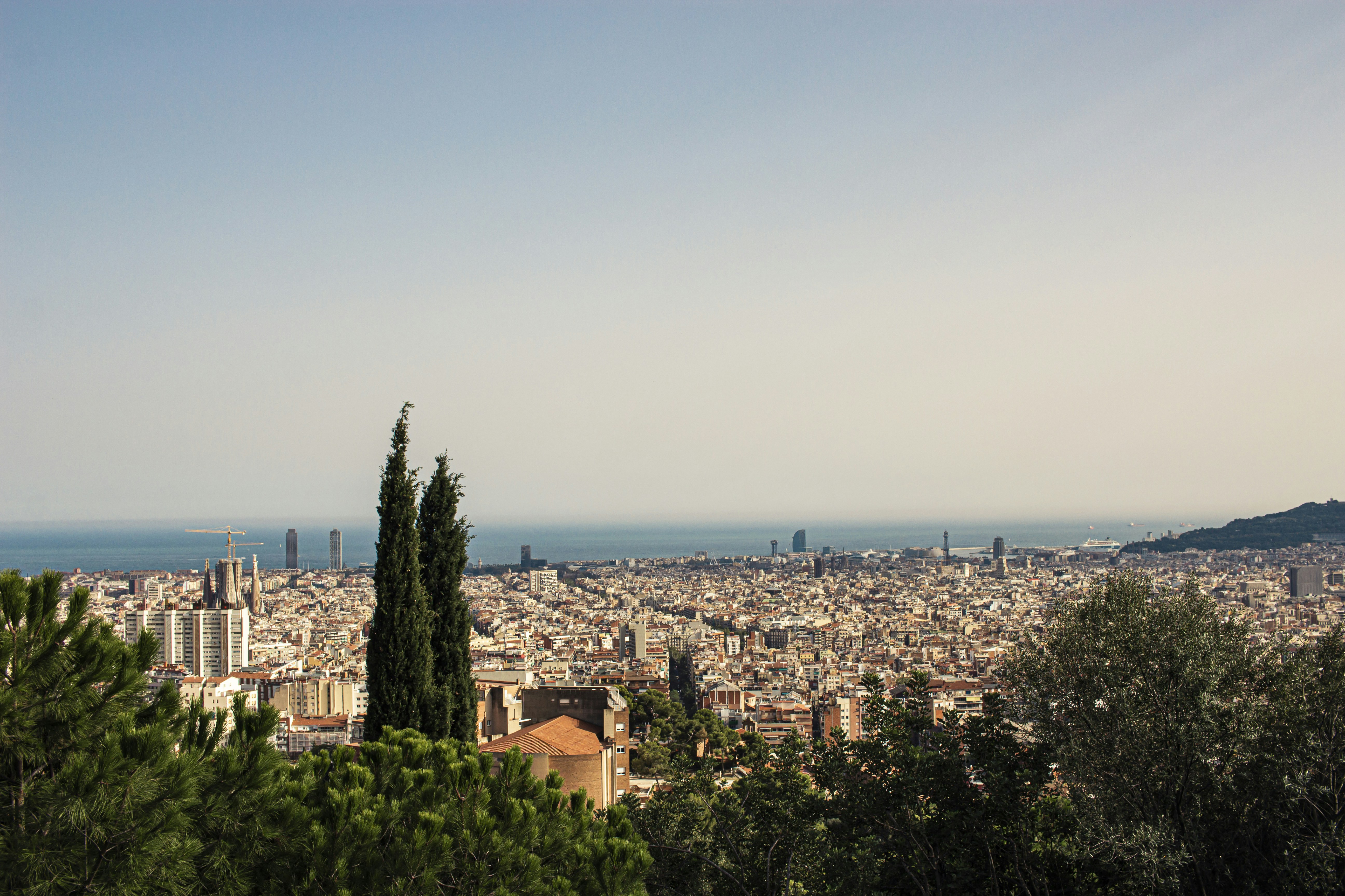 aerial view of city buildings during daytime