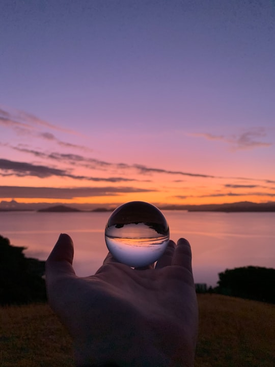 person holding clear glass ball in Mountain Bike Track New Zealand