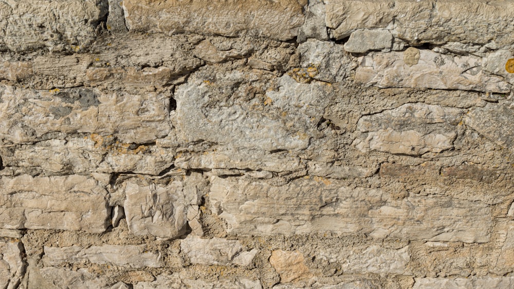 brown and gray concrete wall