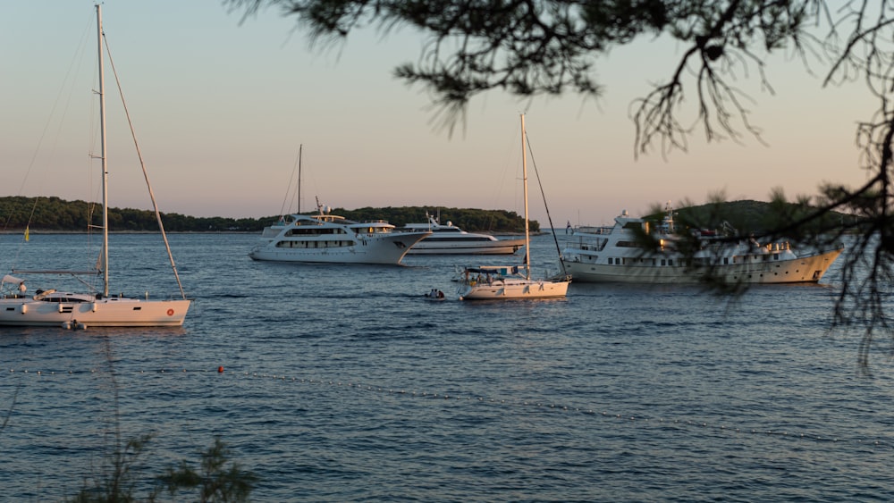 white and brown boat on sea during daytime