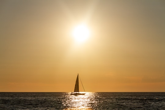 sailboat on sea during sunset in Rovinj Croatia