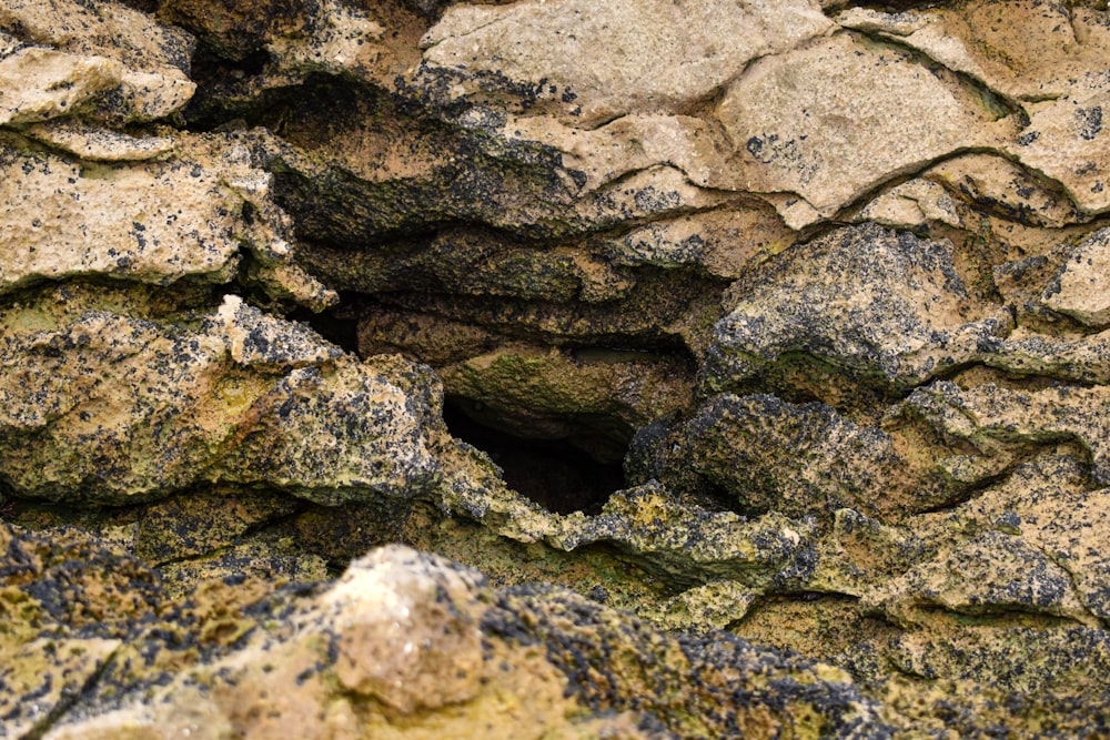 brown and gray rock formation