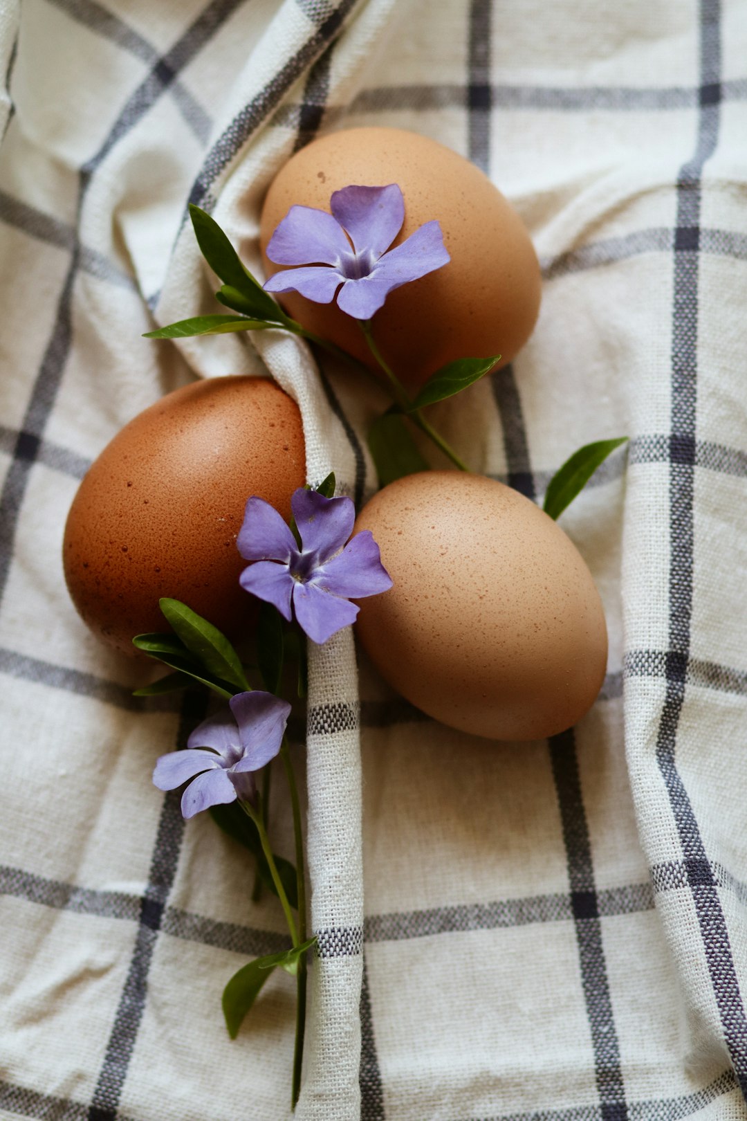 brown egg on white and black textile