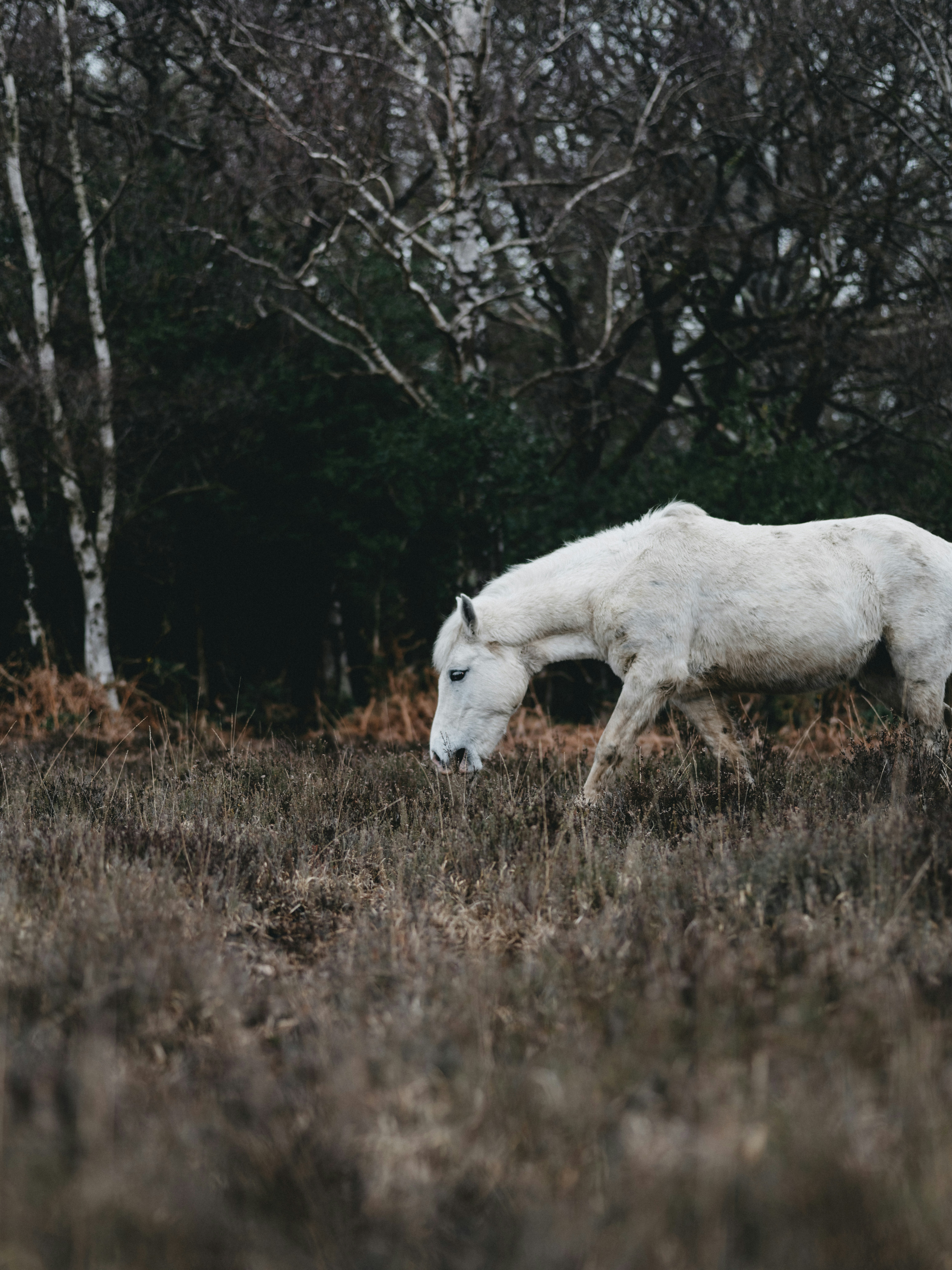 Photo by anniespratt