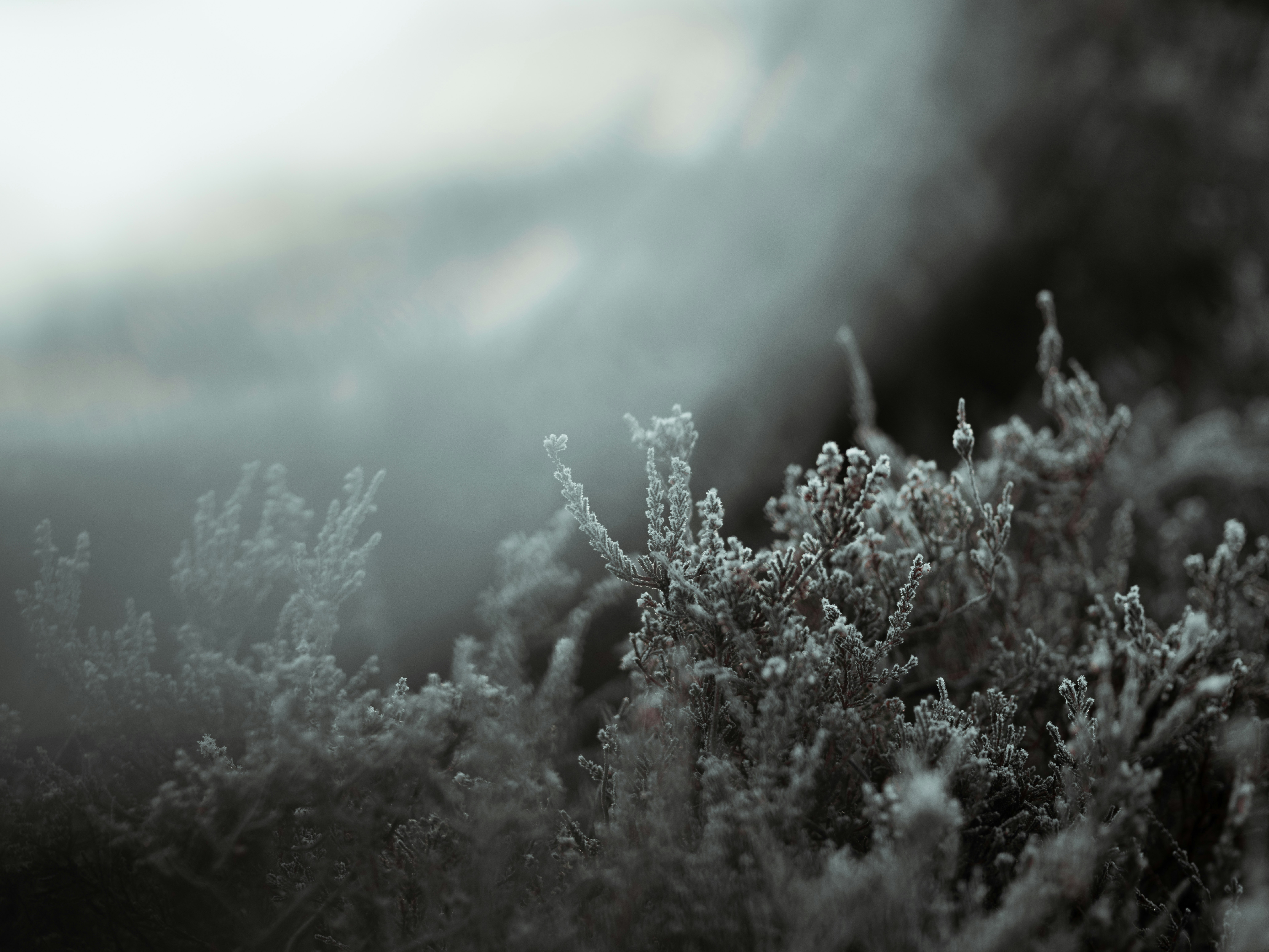 Photo by anniespratt