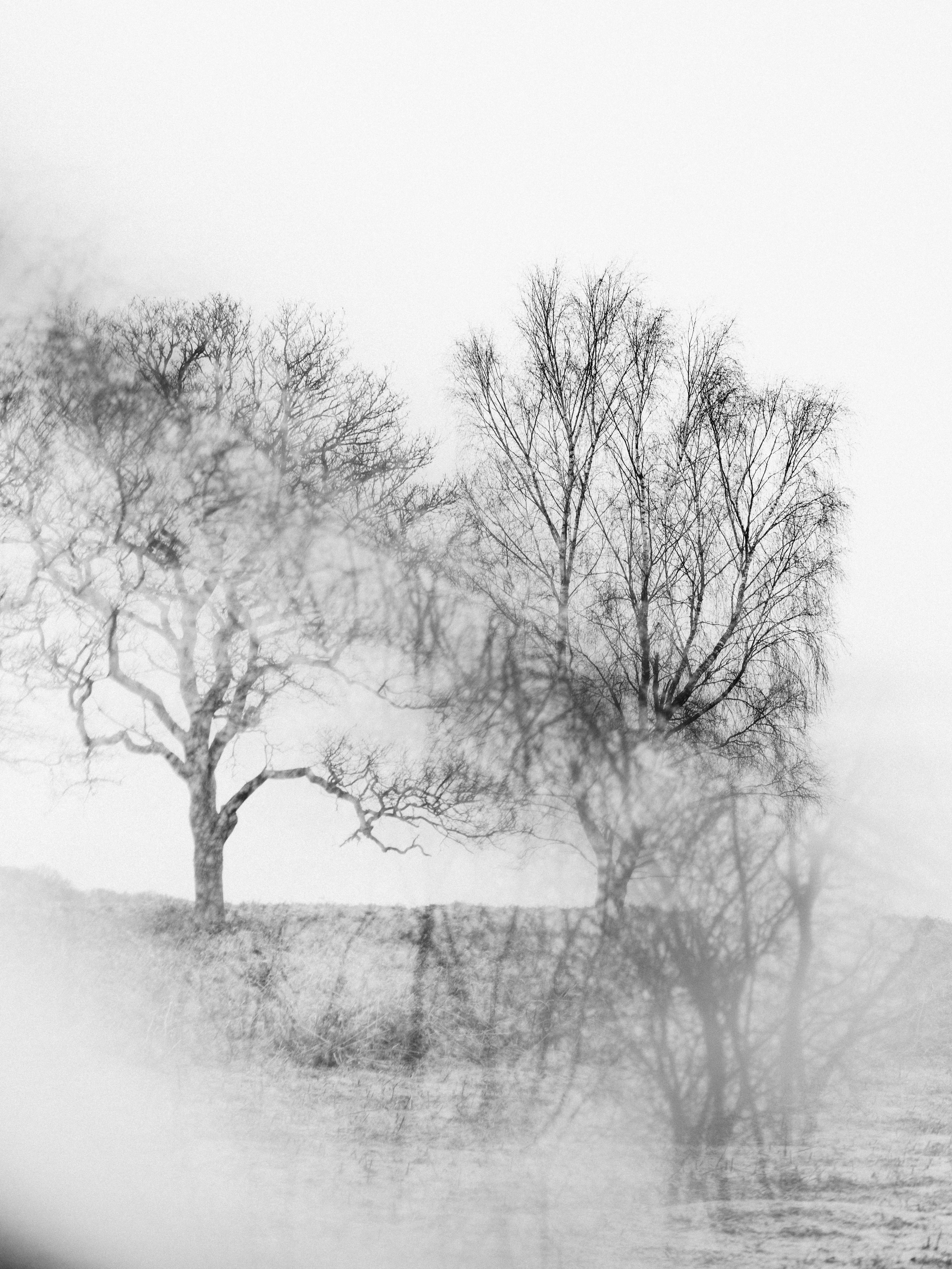 Photo by anniespratt