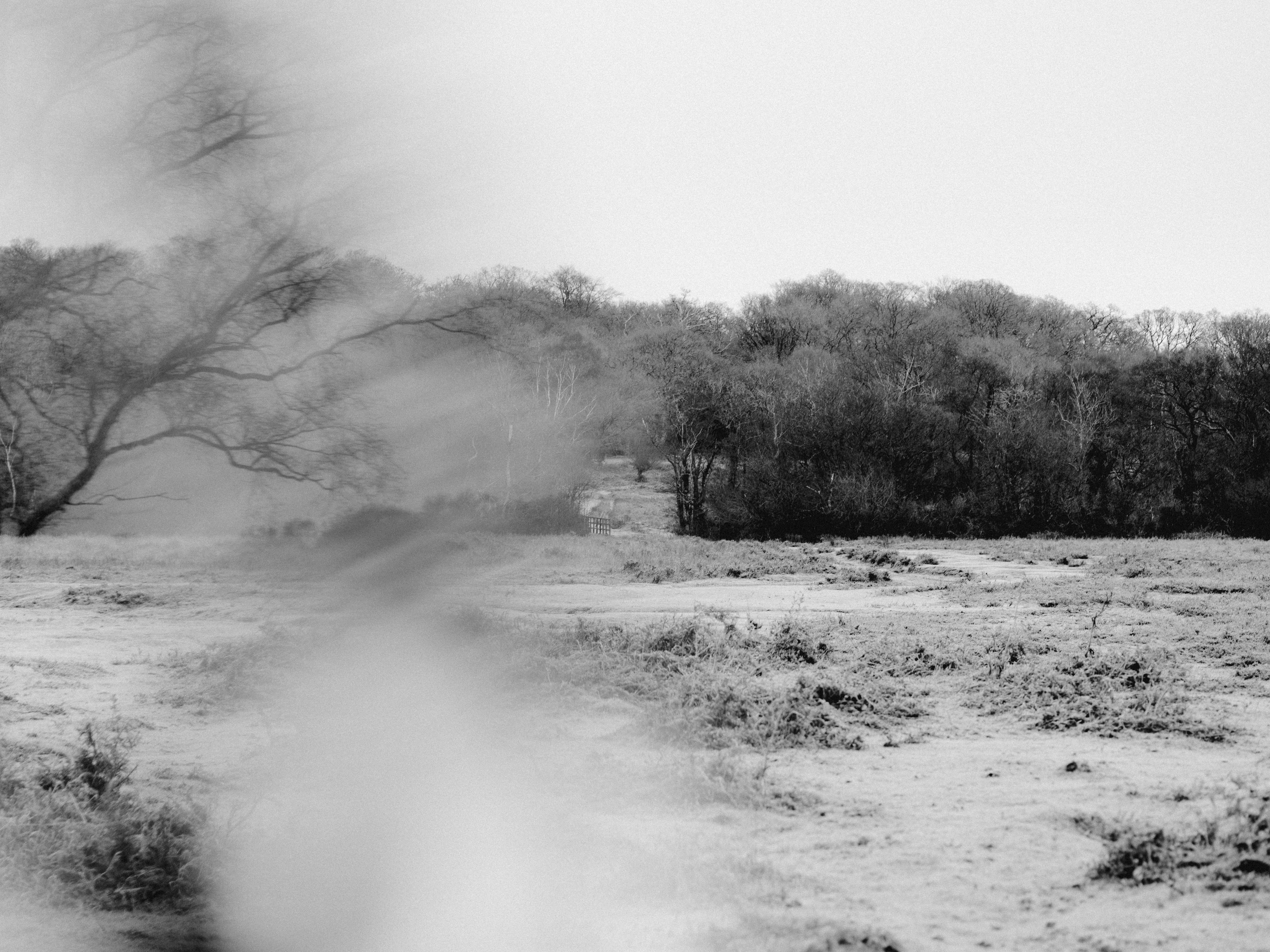 Photo by anniespratt