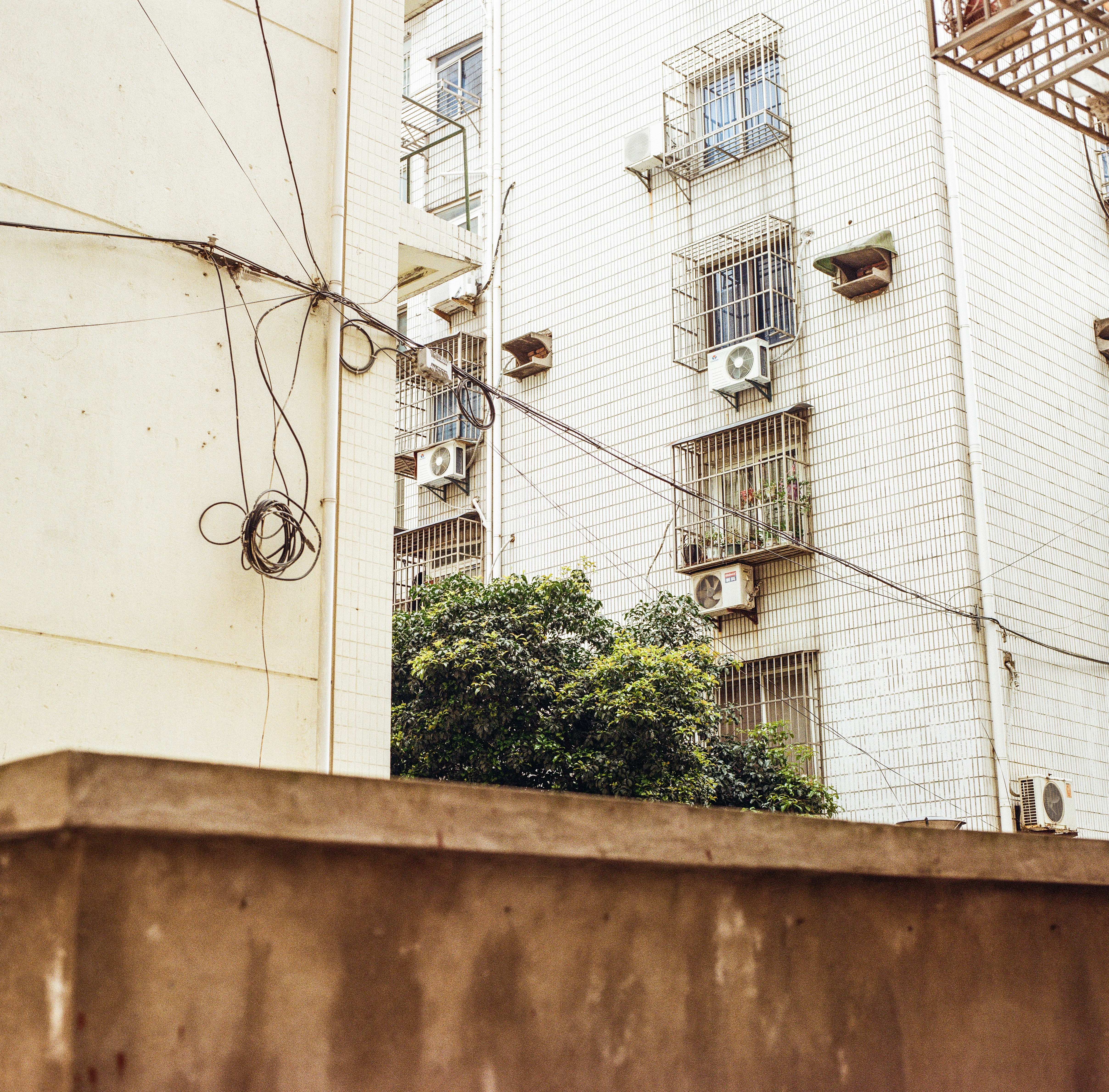 Photo by kennyzhang29