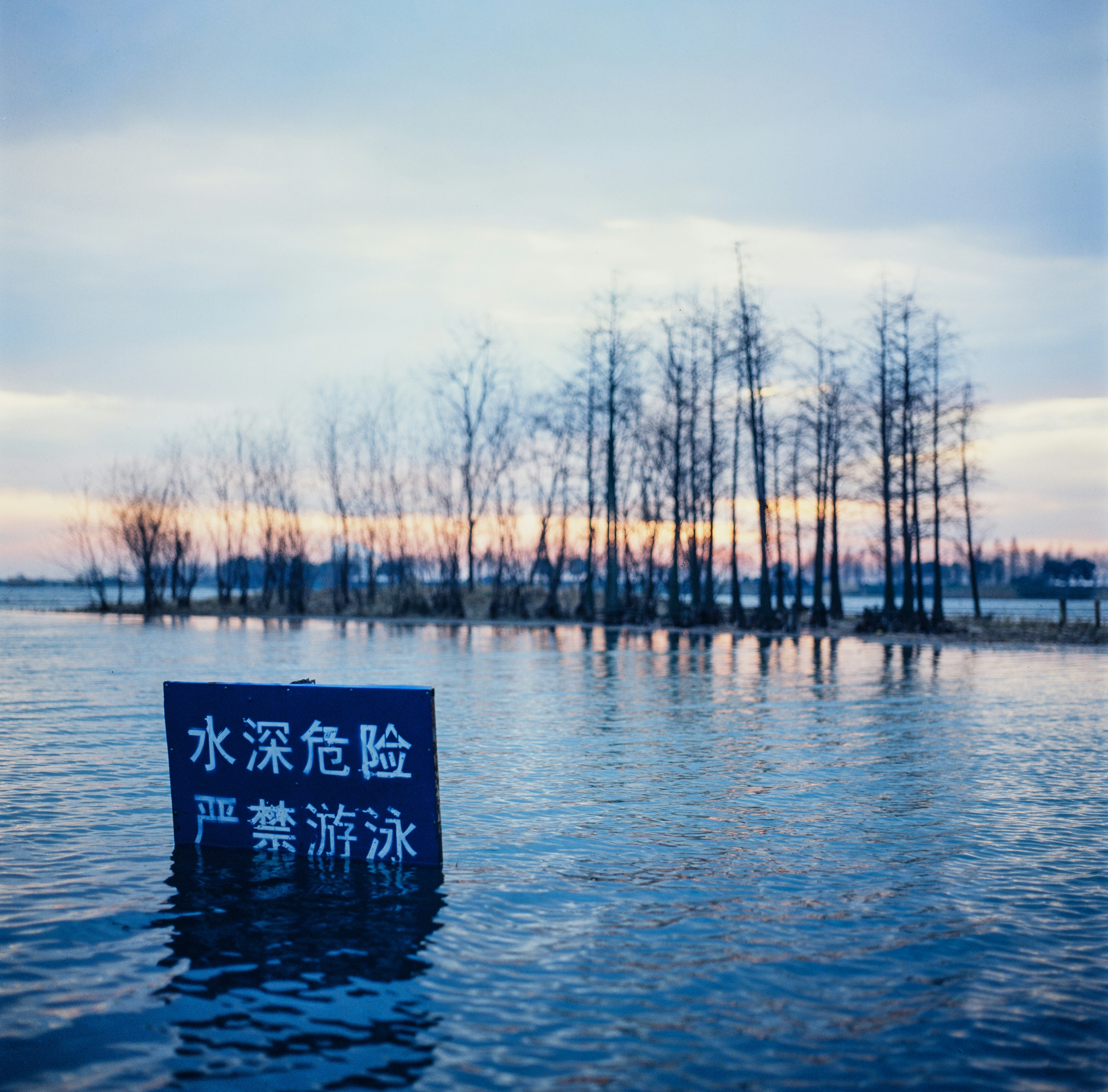 Photo by kennyzhang29