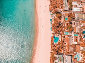 aerial view of city near body of water during daytime