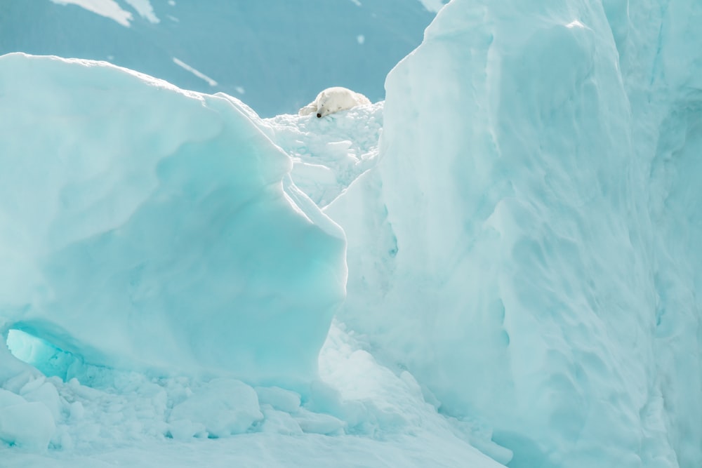 white ice on white snow