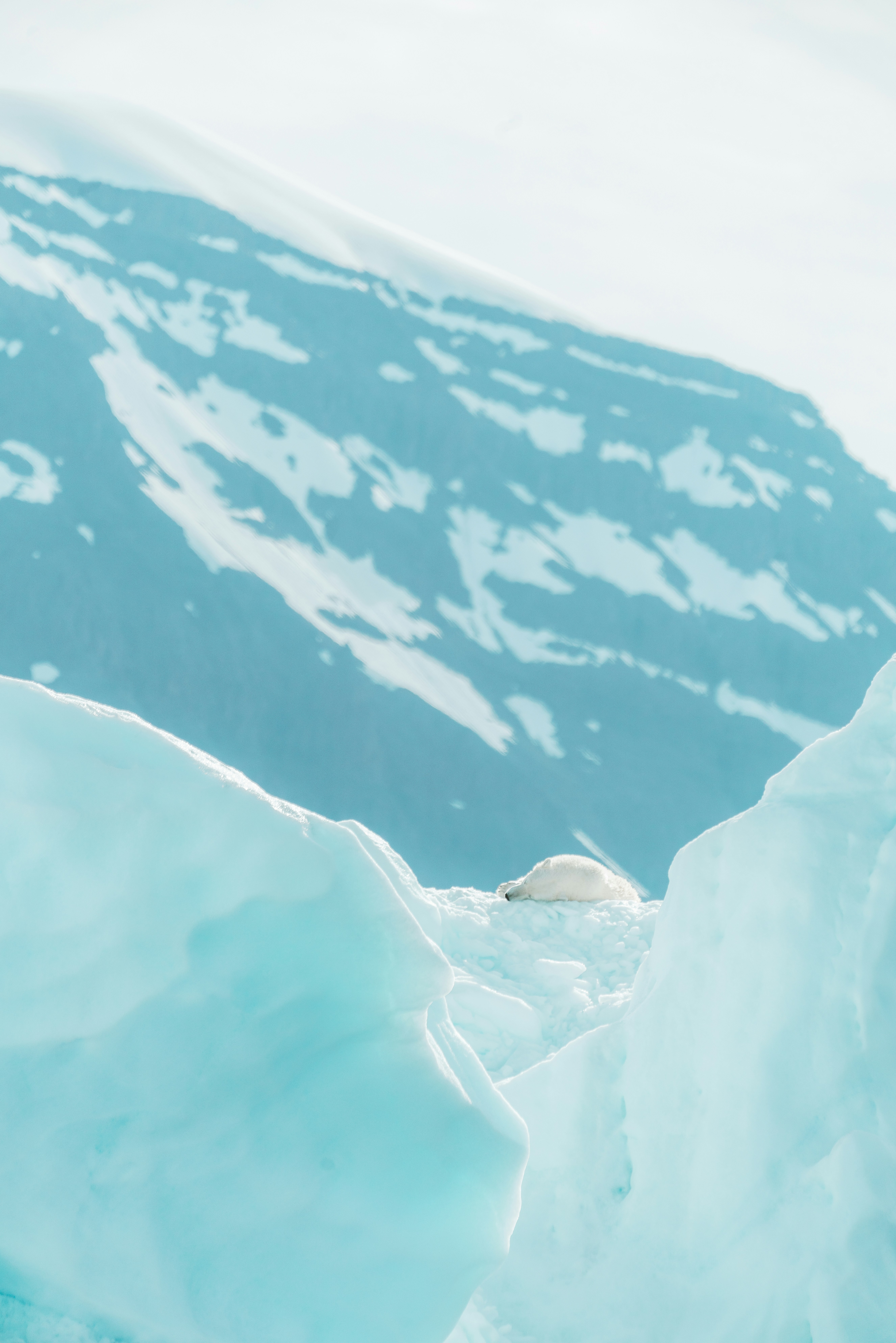 Photo by anniespratt