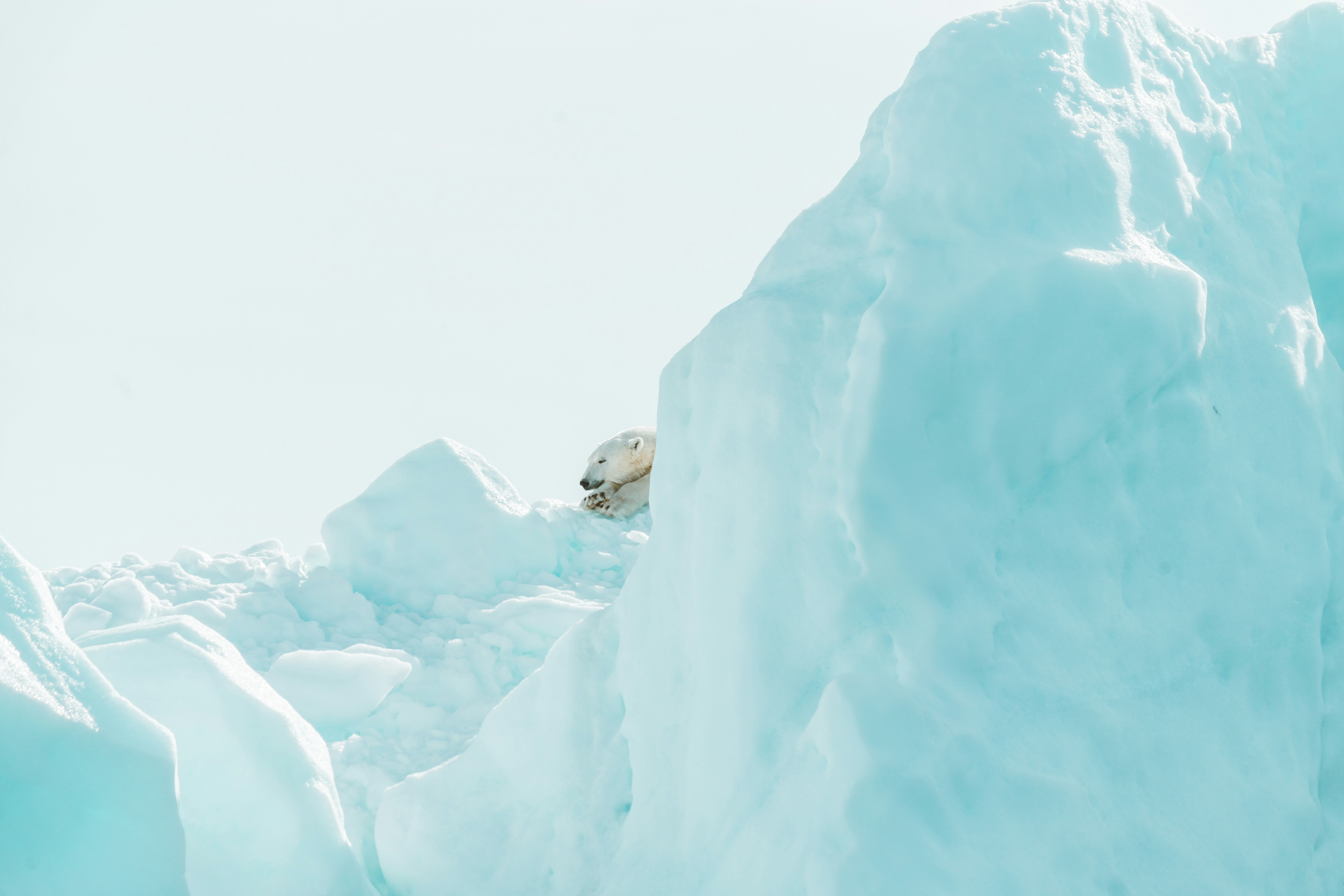 Photo by anniespratt