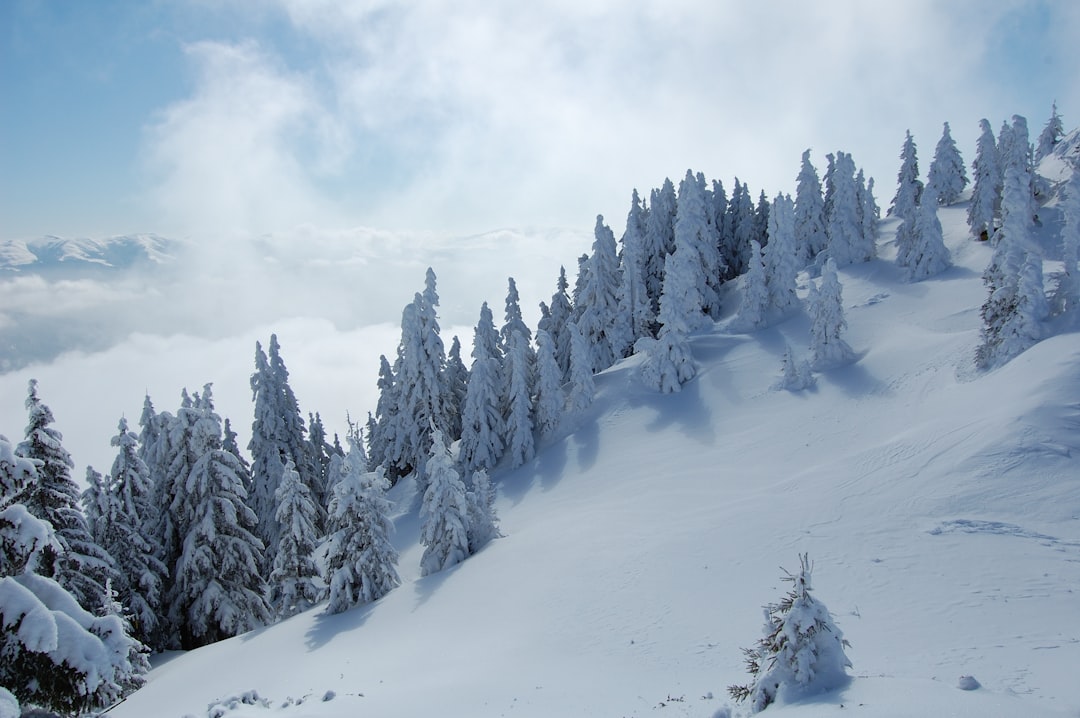 Glacial landform photo spot PostÄƒvaru Bucegi Mountains