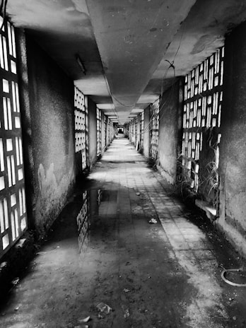 A dim corridor lined with copper pipes and flickering wall sconces casting long shadows.