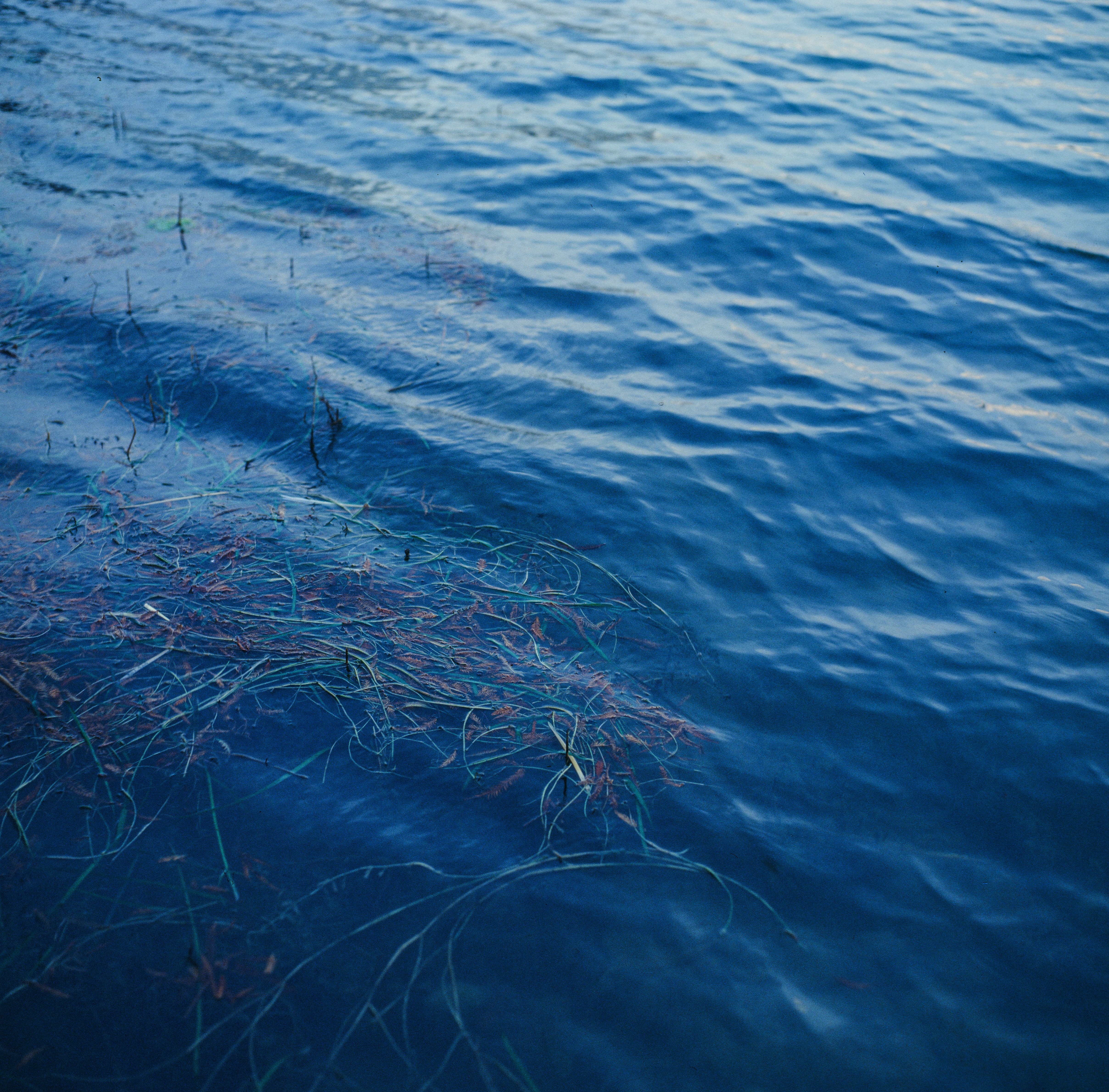 Photo by kennyzhang29