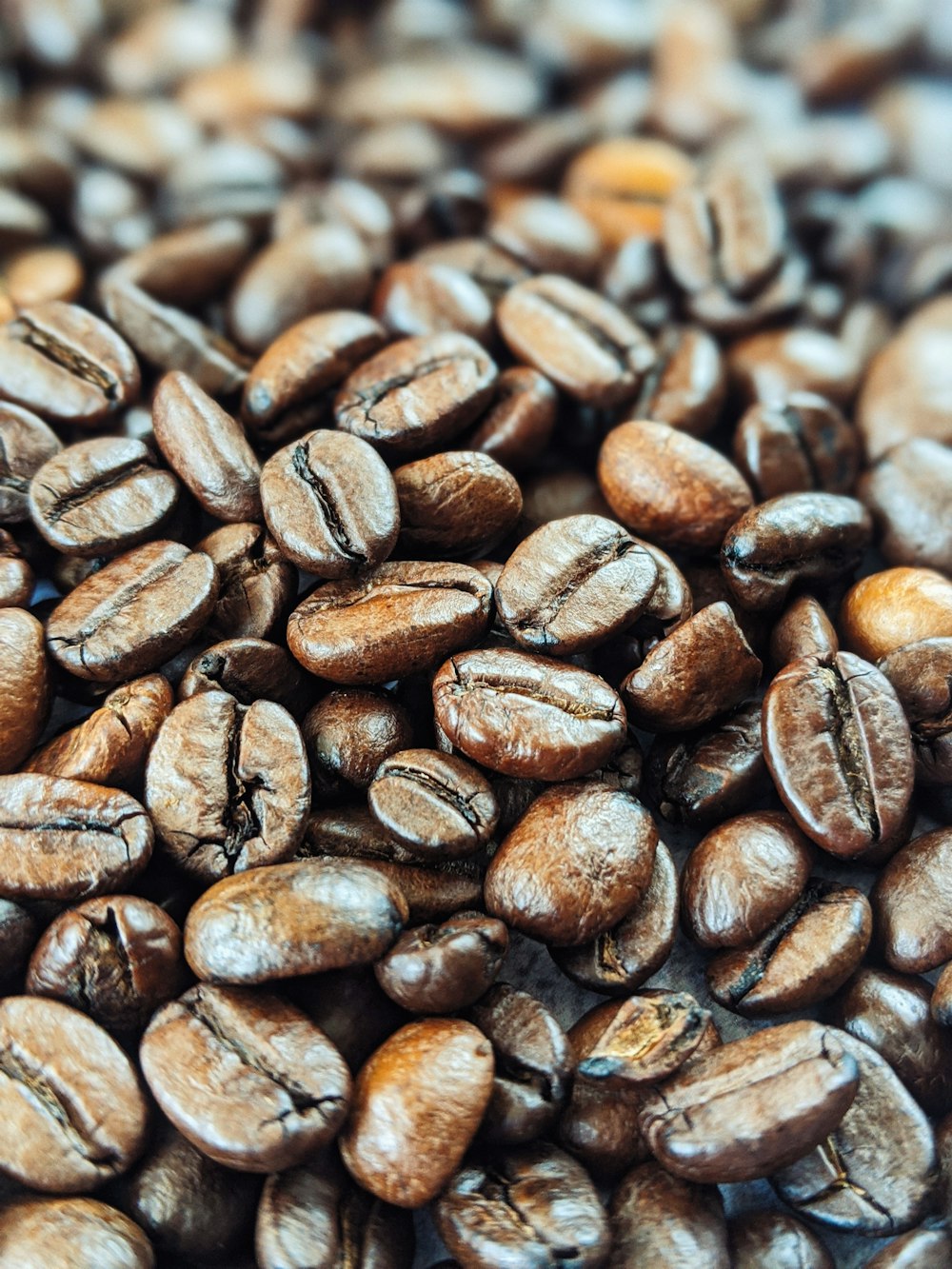 brown coffee beans in close up photography