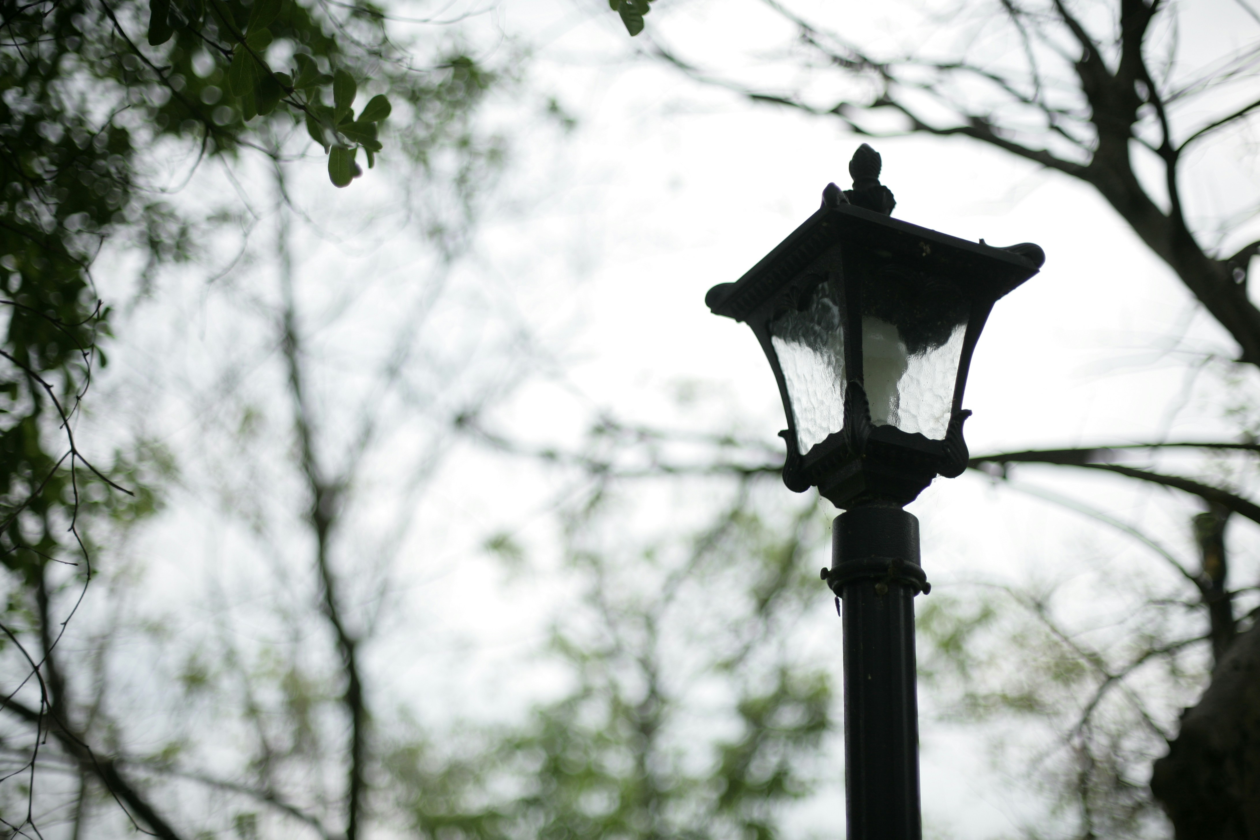 black street lamp in grayscale photography