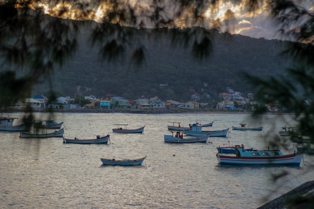 red and blue boats on sea during daytime