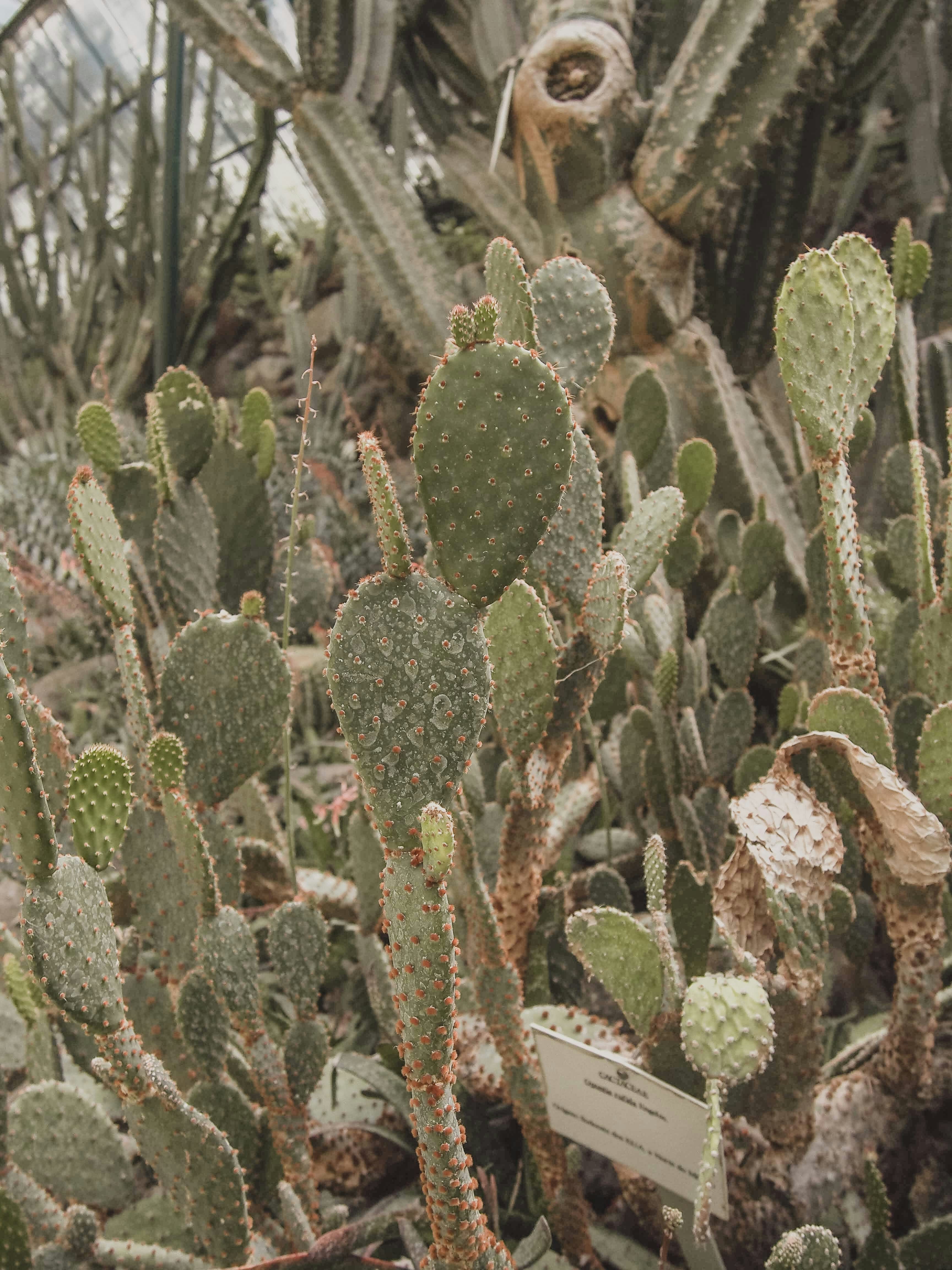 Photo by marianarascao