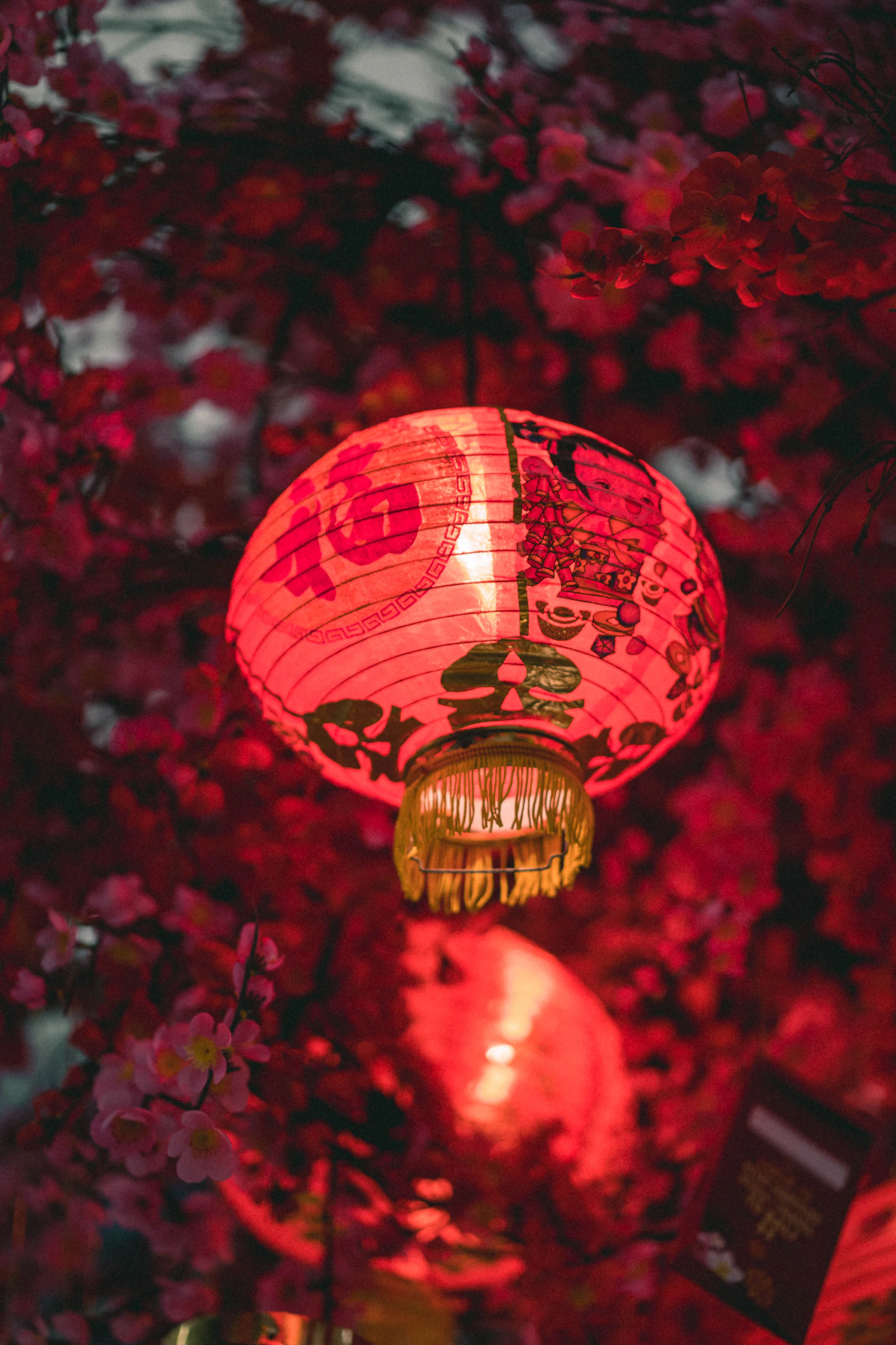 Nouvel An chinois (fête du Printemps)