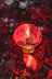 red and yellow paper lantern