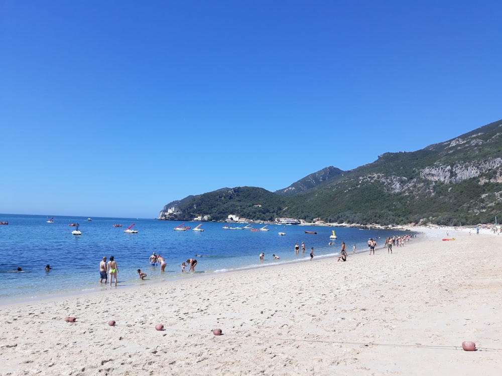 people on beach during daytime