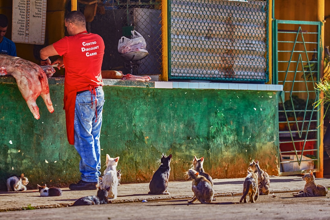 man in red t-shirt and blue denim jeans standing in front of flock of birds