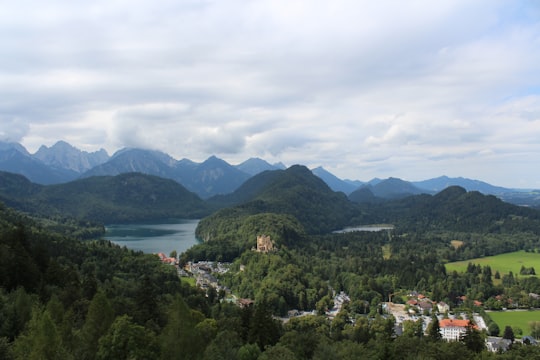 green trees near body of water under cloudy sky during daytime in Hohenschwangau Castle Germany