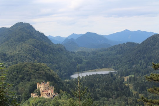 green trees and mountains under white clouds and blue sky during daytime in Hohenschwangau Castle Germany