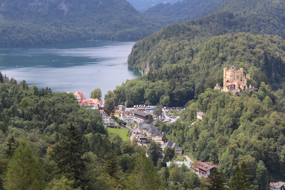 Vue aérienne des arbres verts et de la montagne pendant la journée