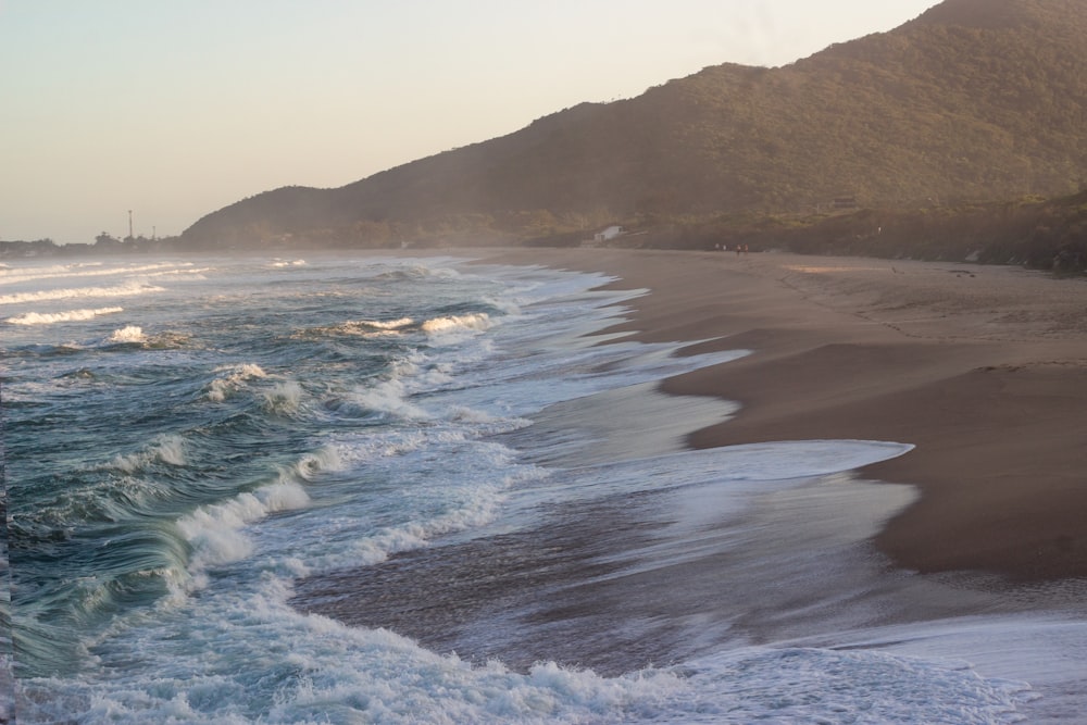 sea waves crashing on shore during daytime