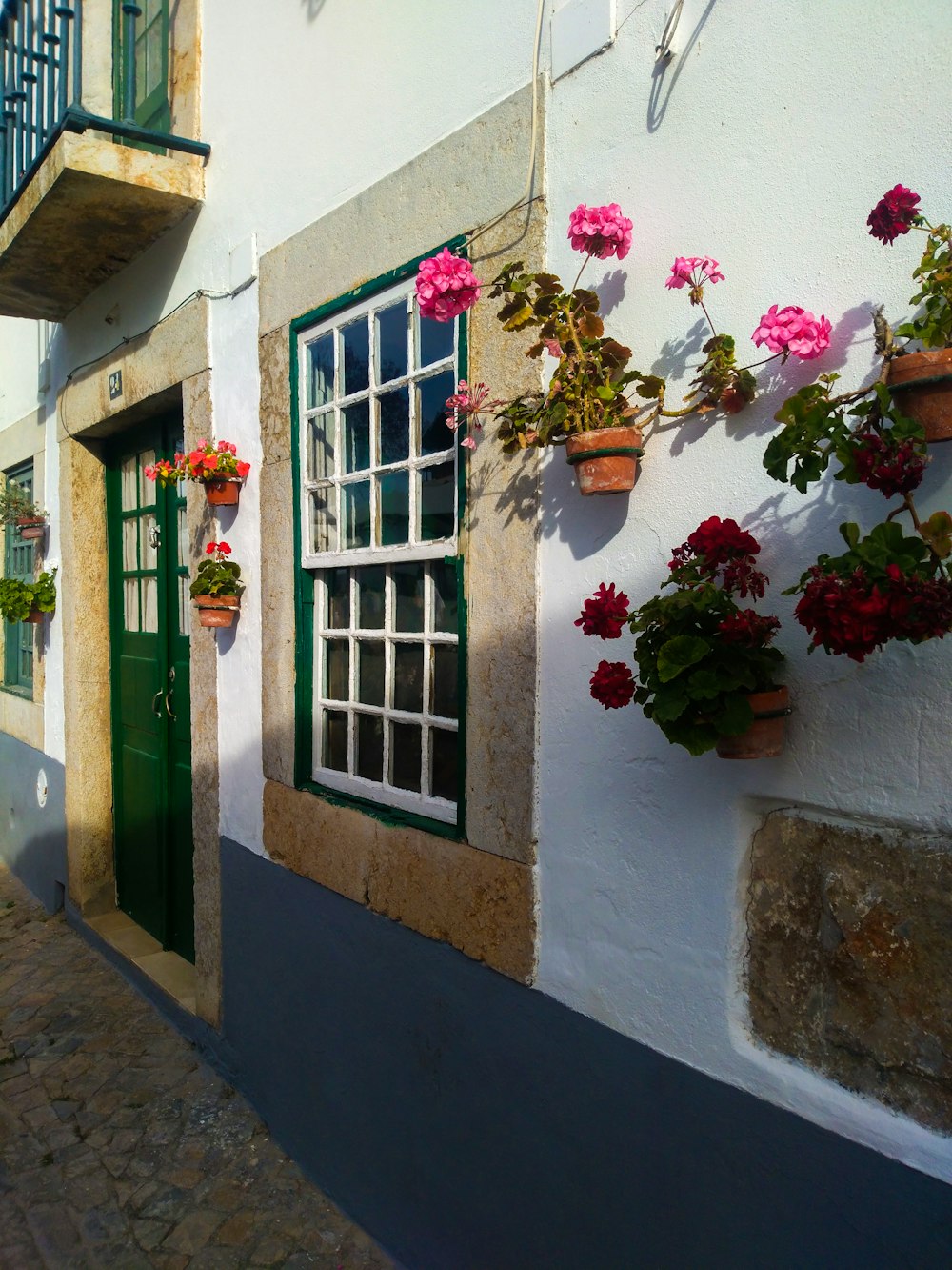 pink flowers on green window